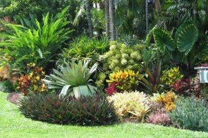 Landscaping - Horticulturist - gallery