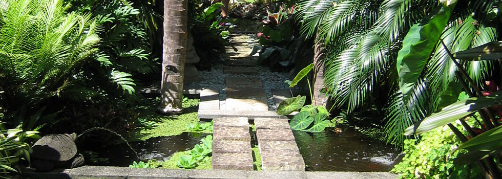 Bali style landscaping 10