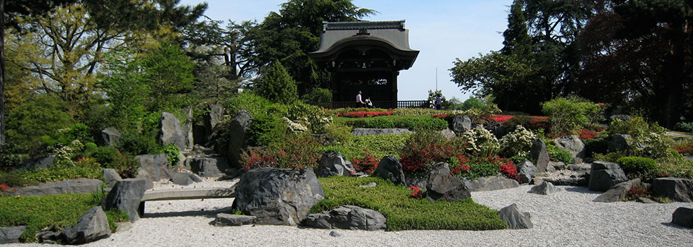 Oriental japanese and zen gardens 8