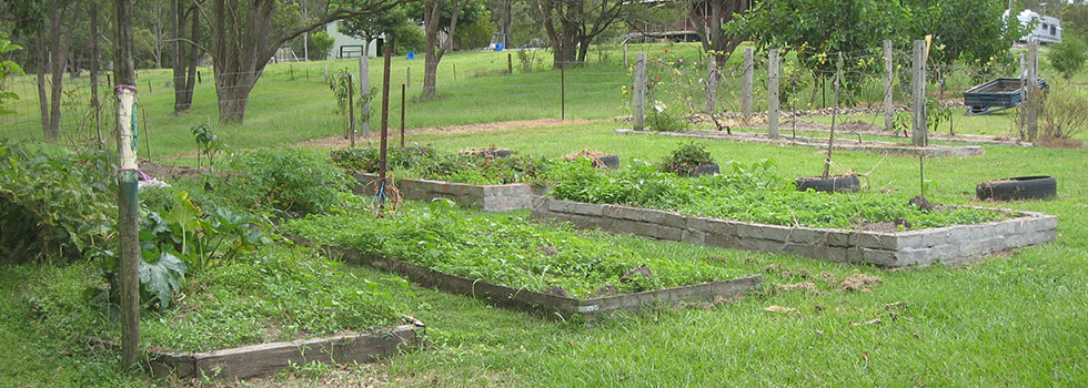Permaculture 8