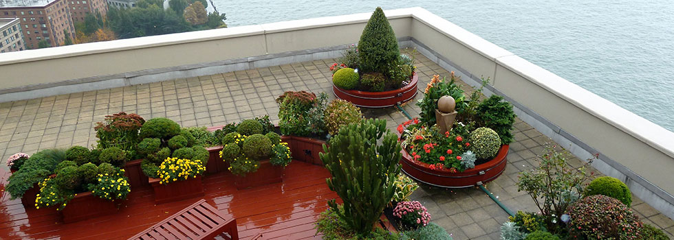 Rooftop and balcony gardens 14