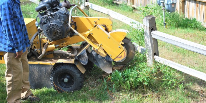 Stump grinding services 3
