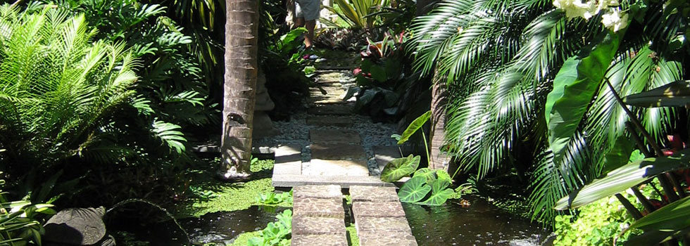 Kwikfynd Tropical landscaping 10