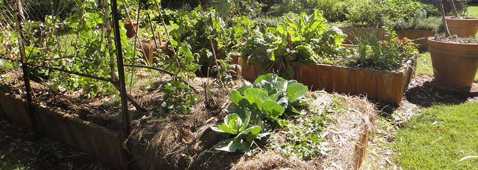 Kwikfynd Vegetable gardens 2