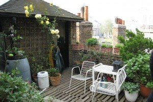 Landscaping - Rooftop and Balcony Gardens - gallery