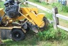 Stump grinding services 3 thumb