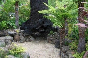 Landscaping - Sustainable Landscaping - gallery