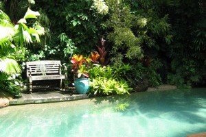 Landscaping - Swimming Pool Landscaping - gallery