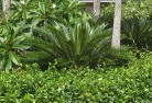 Tropical landscaping 4 thumb