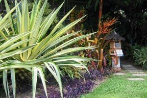 Landscaping Tropical Landscaping